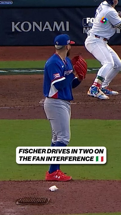 Fan Interference or Home Run 🤔
