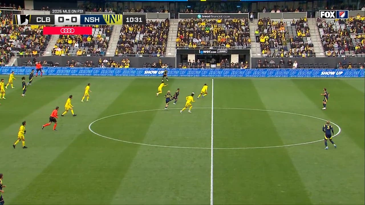 Catch Up with Highlights