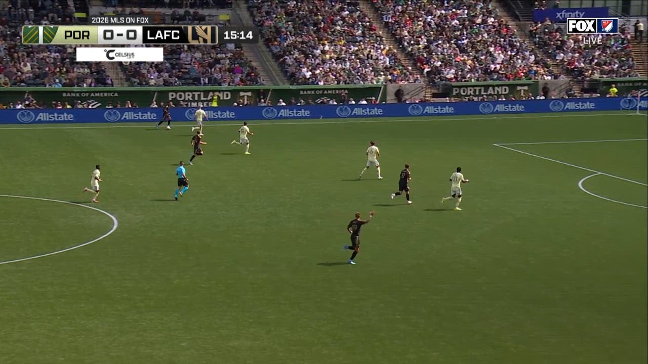 Catch Up with Highlights