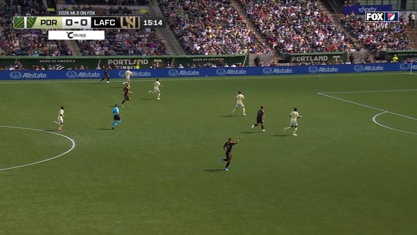 Catch Up with Highlights