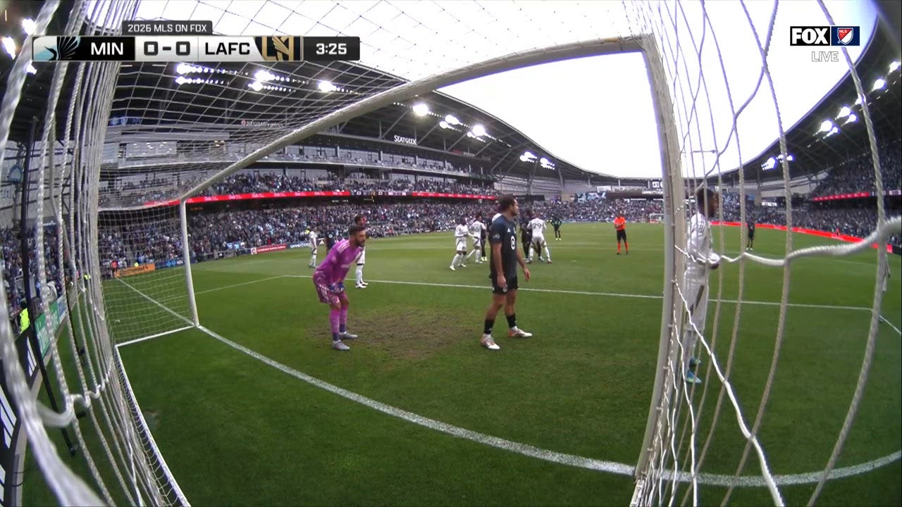 Catch Up with Highlights