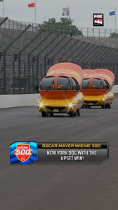 New York Dog wins the 2nd annual Wienie 500! 🌭