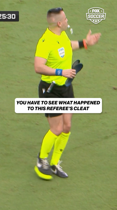 Don't see a game stopped for this reason very often..