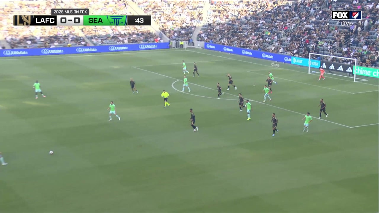 Catch Up with Highlights