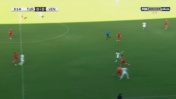 Catch Up with Highlights