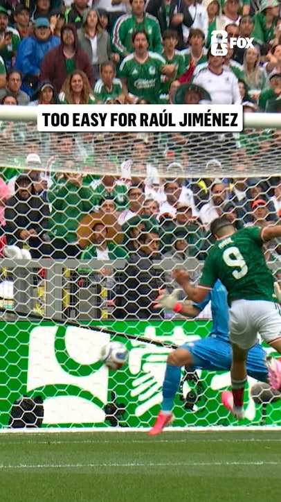 This Raul Jimenez goal brought Mexico's fans to their feet