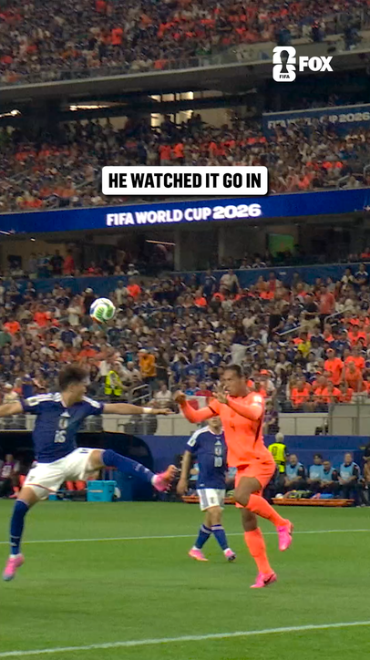 VAN DIJK'S FIFA WORLD CUP MOMENT 🇳🇱