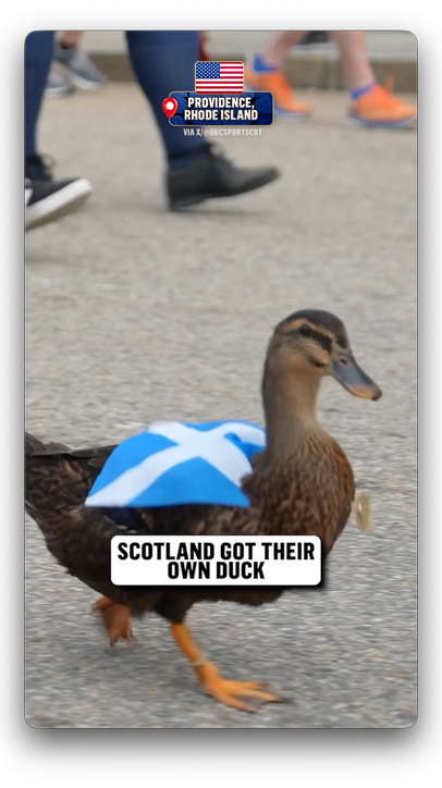 Mexico isn't the only team with a duck this FIFA World Cup  (via IG/bbcsportscot)