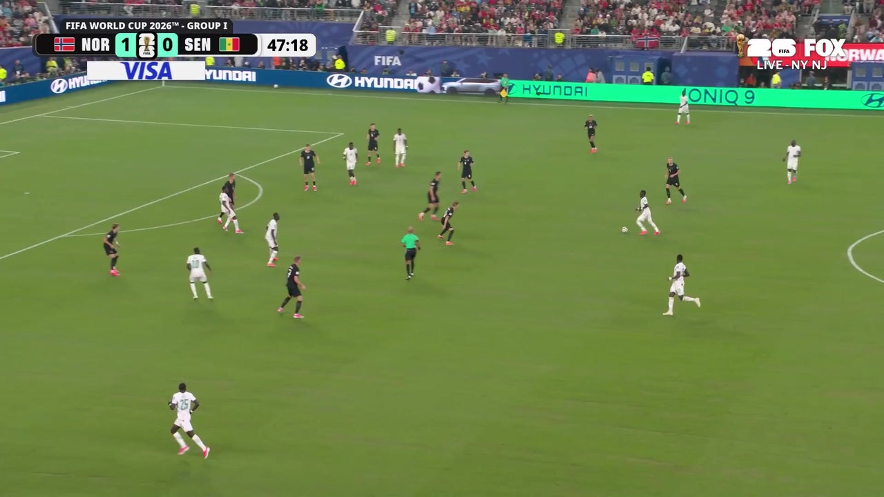 Catch Up with Highlights