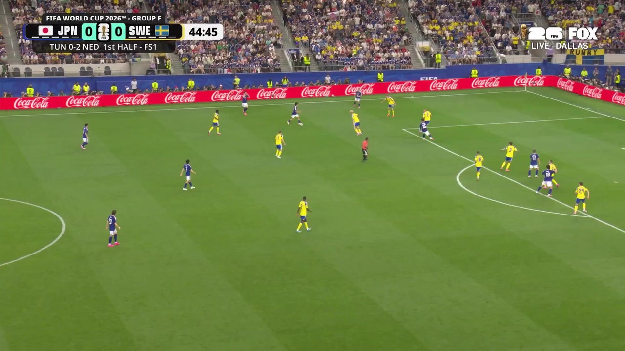 Catch Up with Highlights