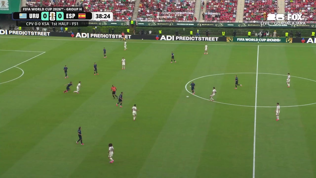 Catch Up with Highlights
