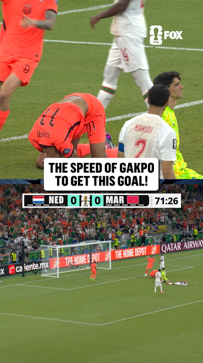 What a goal from Cody Gakpo and The Netherlands 🇳🇱