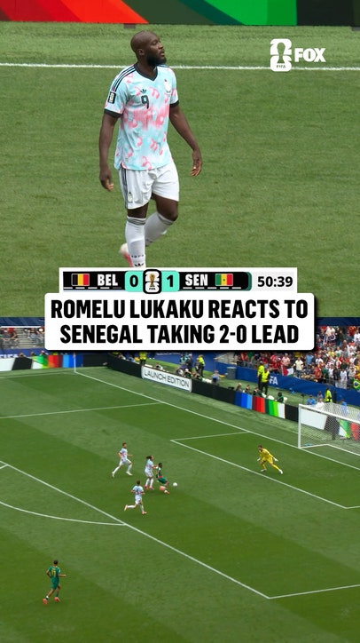 Lukaku was left in disbelief...