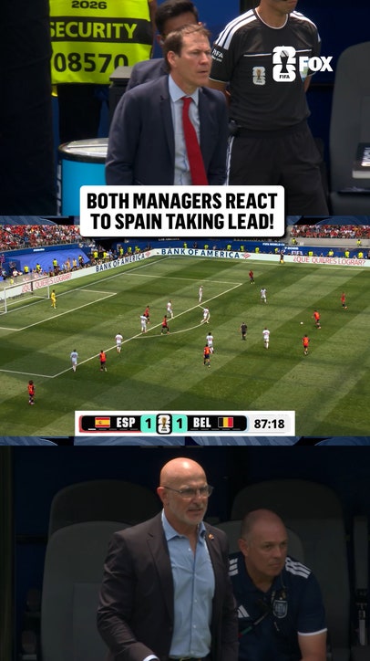 The managers' reactions as Spain takes the lead towards the end of the full 90