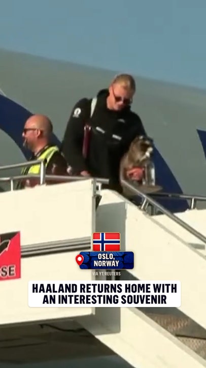 After a summer to remember, Erling Haaland chose to bring a taxidermy raccoon back to Norway 🤣