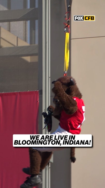 Hoosier Nation knows how to make an entrance