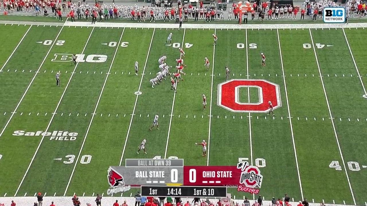 Catch Up with Highlights