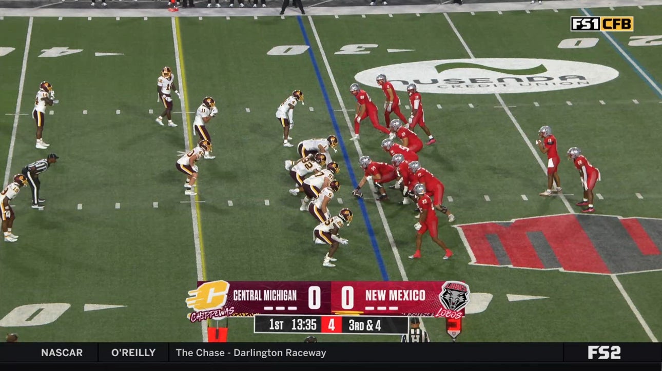 Catch Up with Highlights