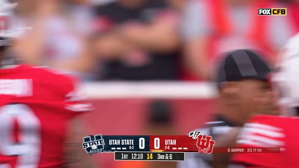 Catch Up with Highlights