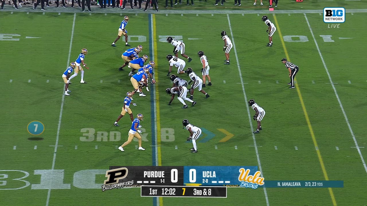 Catch Up with Highlights