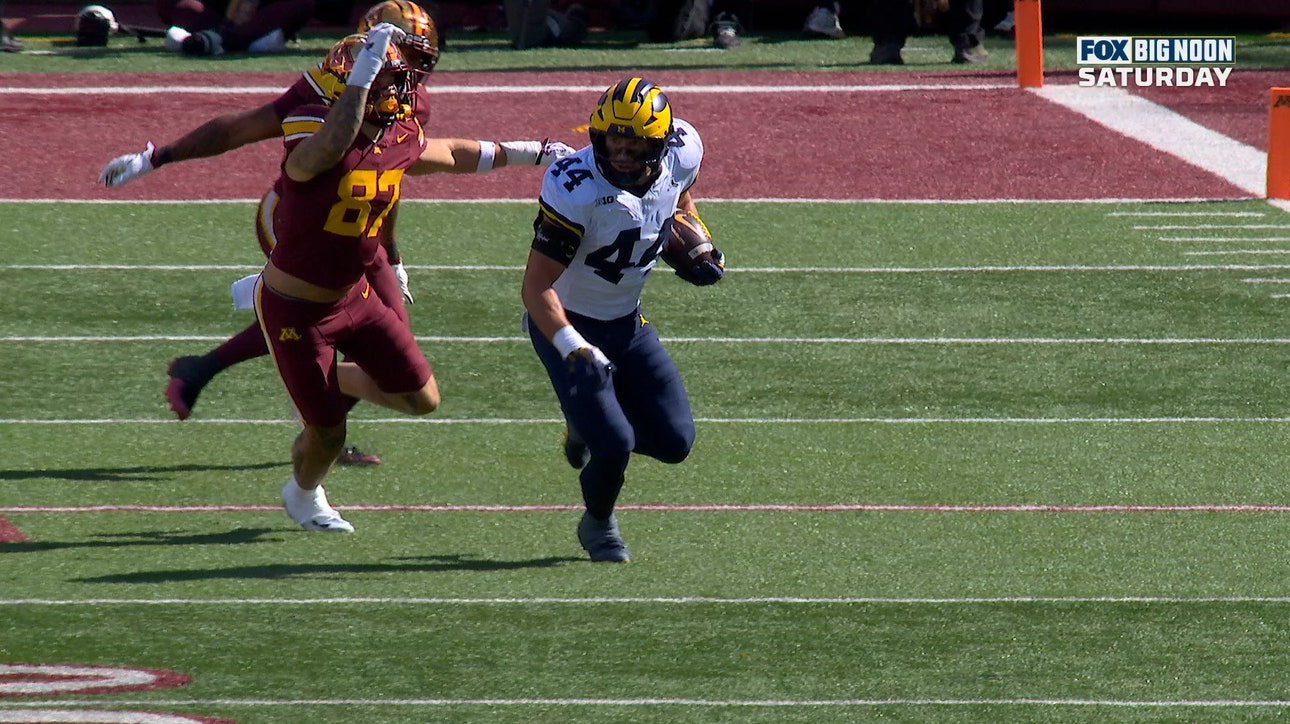 Michigan's Nathaniel Staehling Jumps the Route for PICK-SIX Against Minnesota