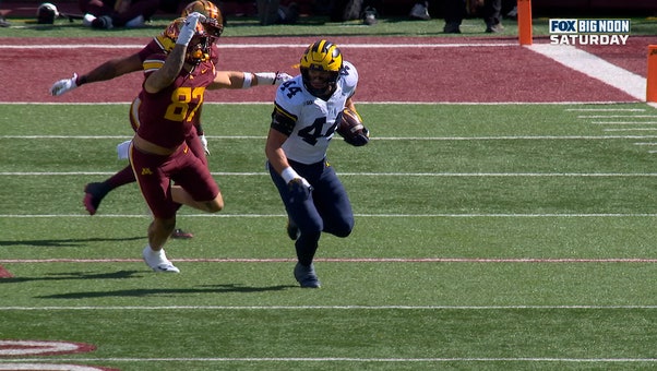Michigan's Nathaniel Staehling Jumps the Route for PICK-SIX Against Minnesota