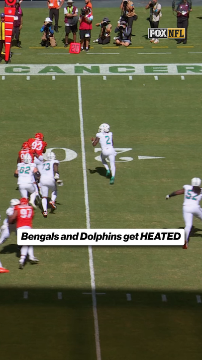 Bengals and Dolphins start getting HEATED