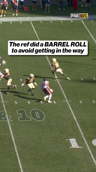 This ref does a BARRELROLL!