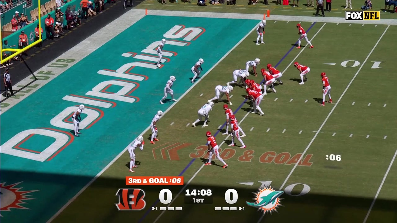 Catch Up with Highlights