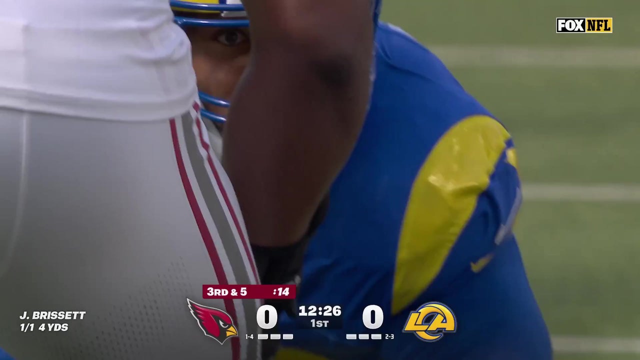 Catch Up with Highlights
