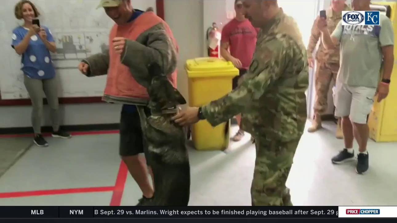 Royals legends enjoy final day of the USO Tour