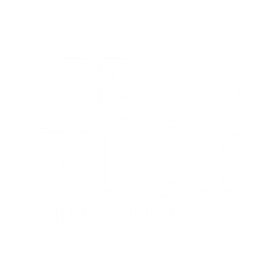 SPECIAL FORCES: WORLD'S TOUGHEST TEST