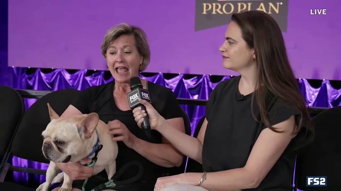 Charlotte Wilder breaks down dog breed stereotypes with their owners