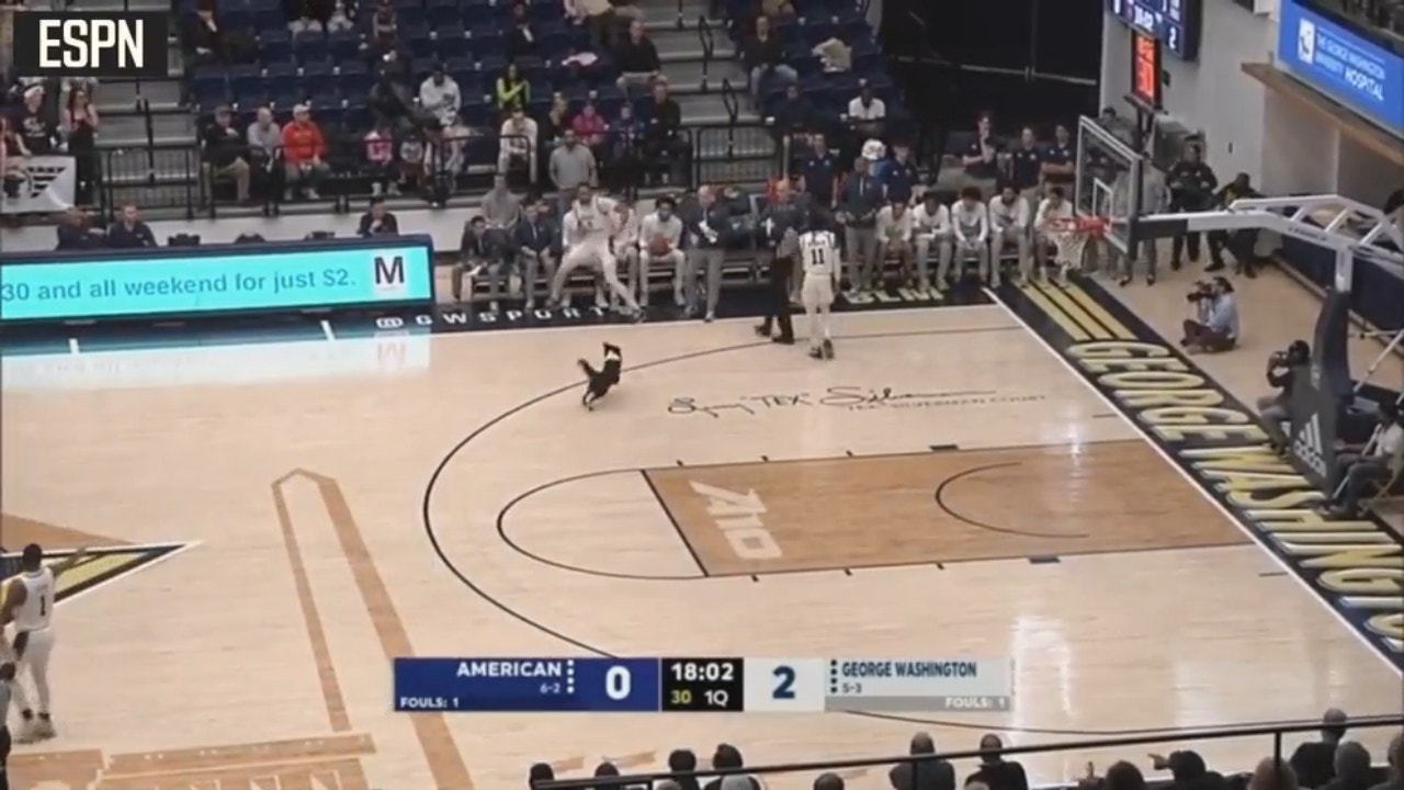 A dog runs on the court in the middle of the American vs. George Washington game