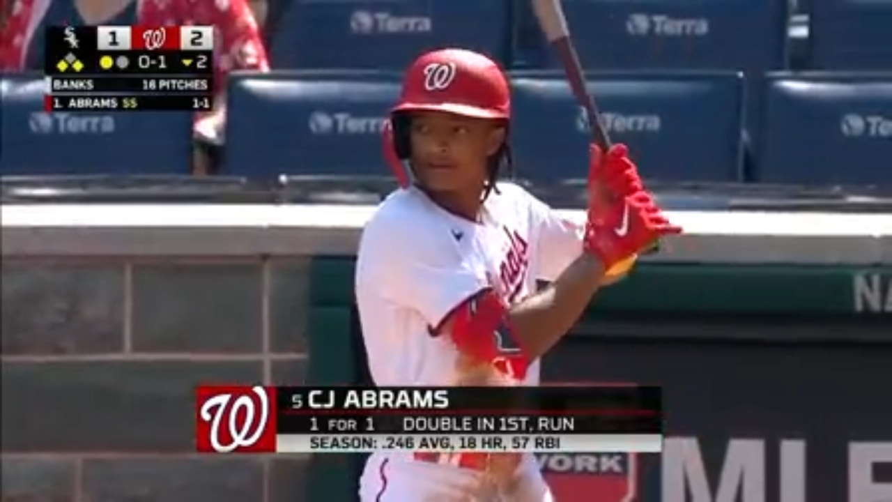Chicago White Sox vs. Washington Nationals Highlights