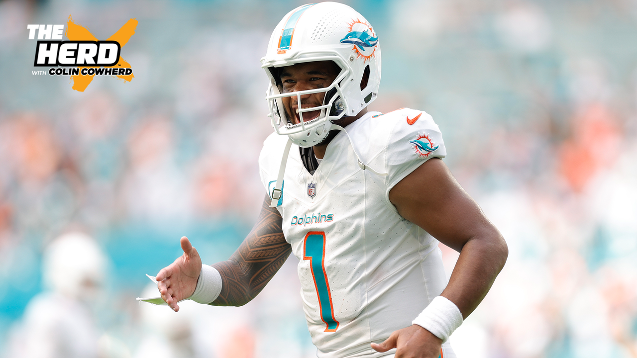 Are Dolphins the best team in the NFL?, The Herd