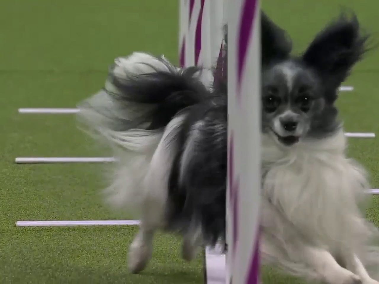 play-660e8675e0000cb--