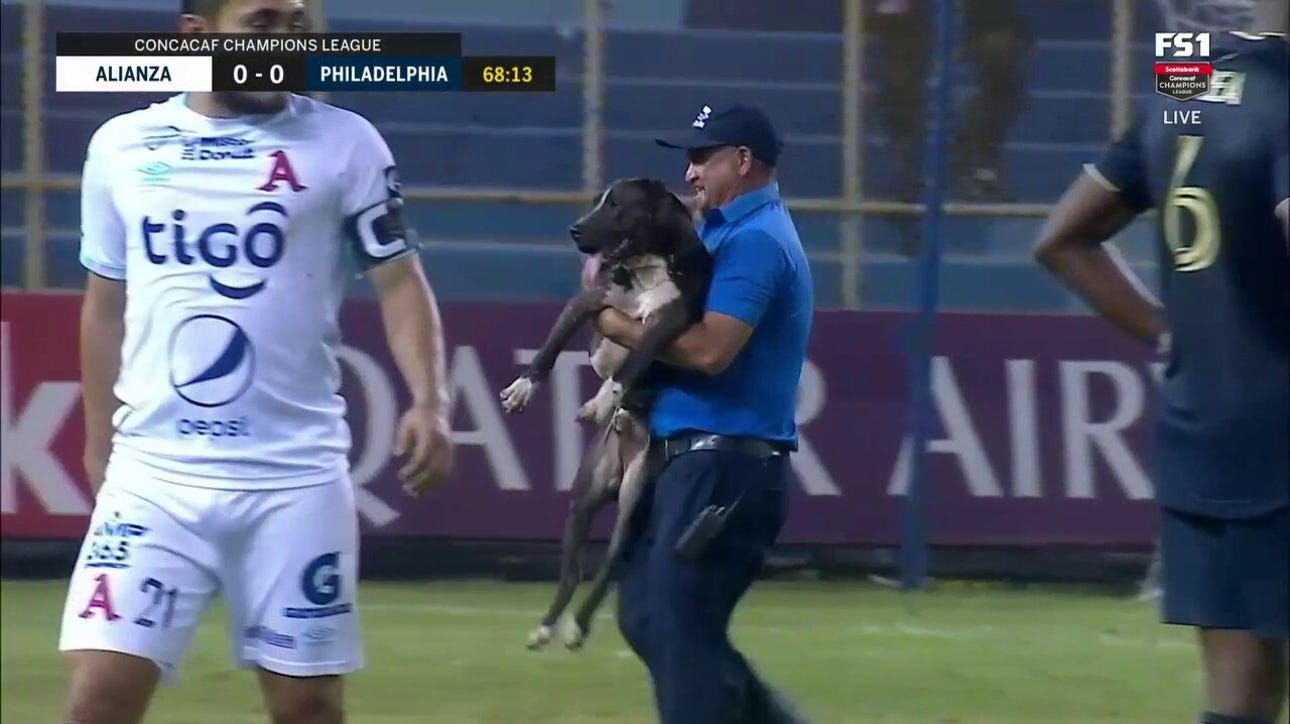 Dog runs onto field during CONCACAF Champions League match between Alianza and Philadelphia