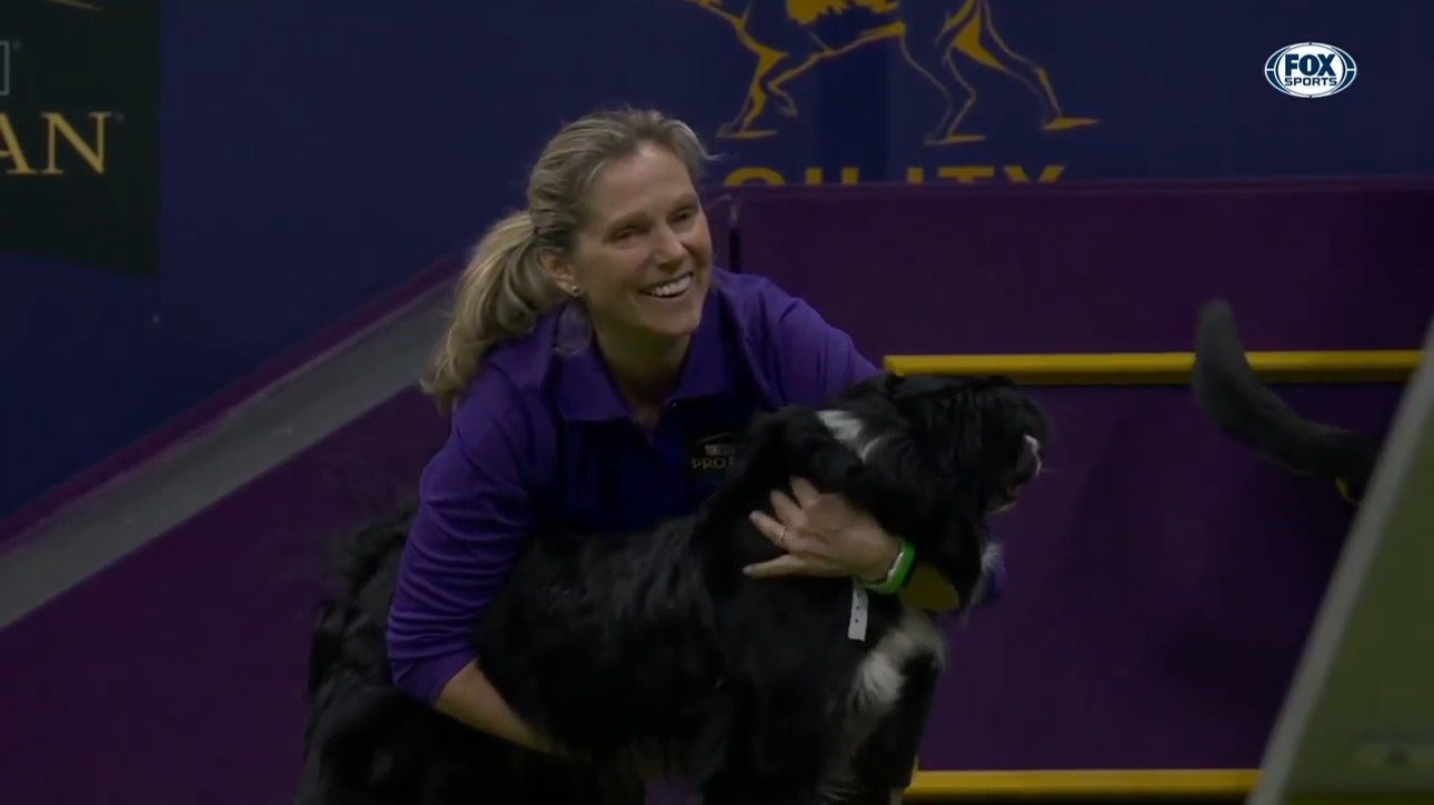 Truant the Border Collie crowned 2023 Masters Agility Champion | Westminster Kennel Club