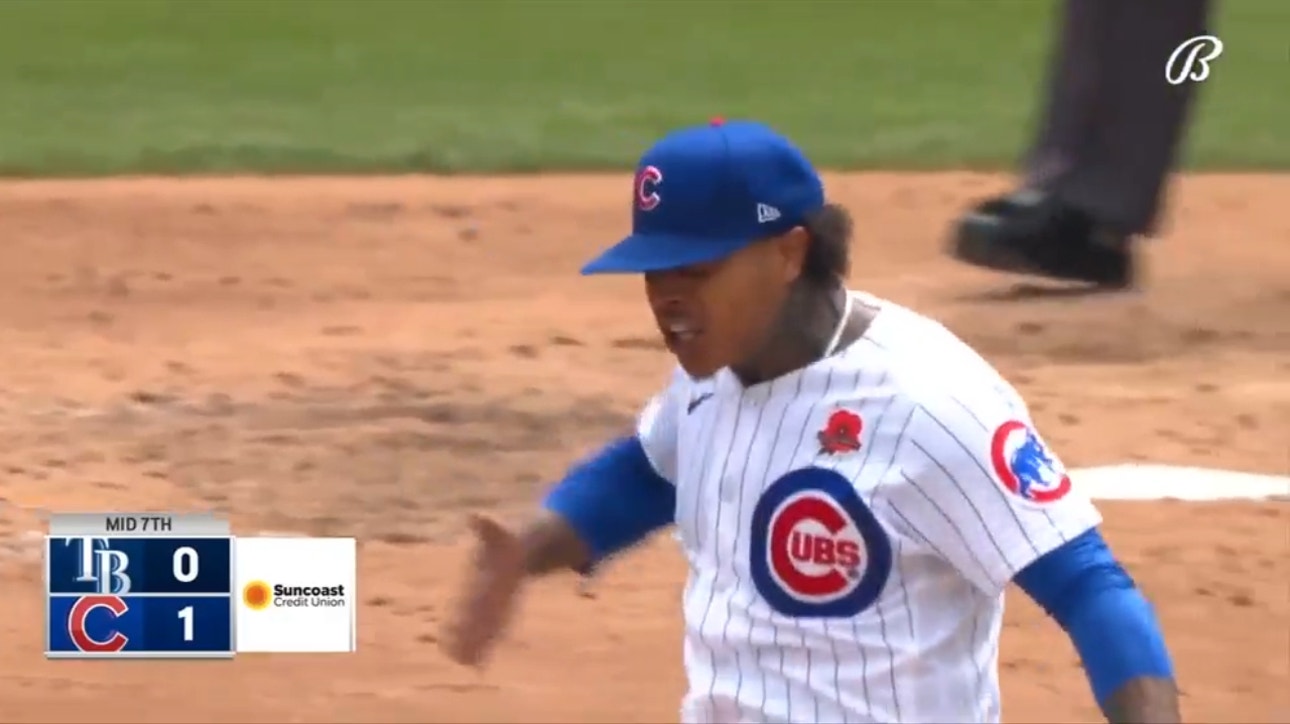 Tampa Bay Rays vs. Chicago Cubs Highlights