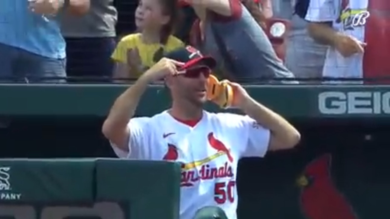 New York Yankees vs. St. Louis Cardinals Highlights