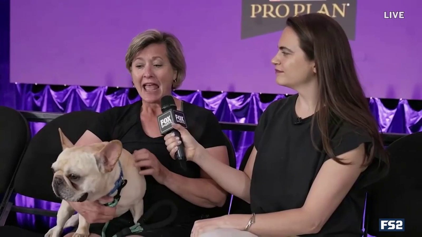 Charlotte Wilder breaks down dog breed stereotypes