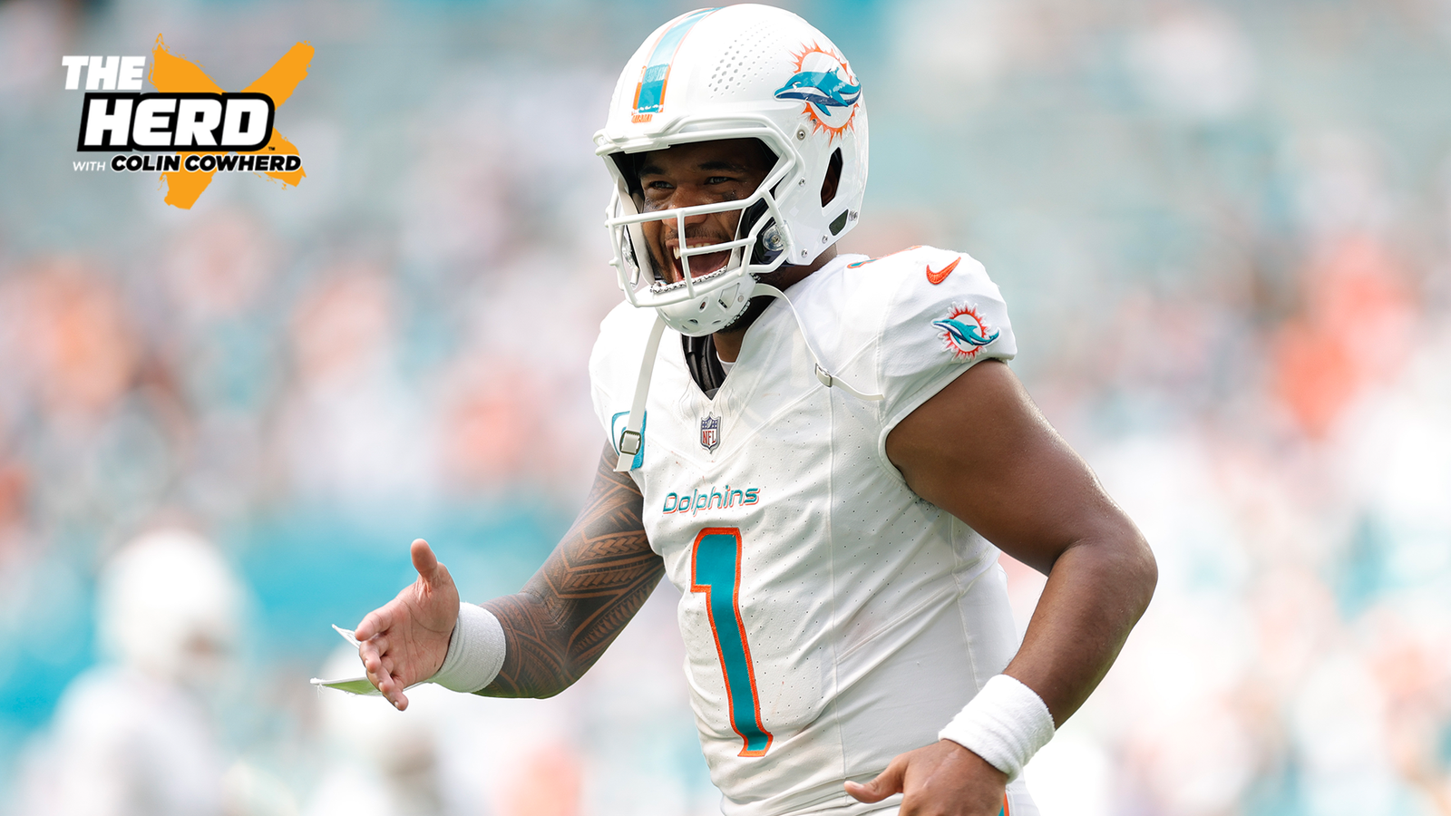 Are Dolphins the best team in the NFL?