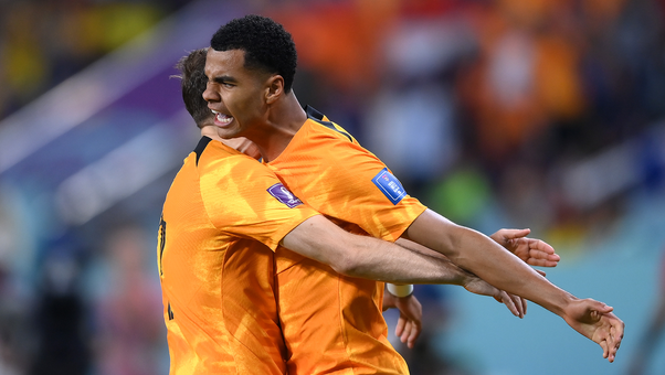 Netherlands' Cody Gakpo scores goal vs. Ecuador in 6' | 2022 FIFA World Cup