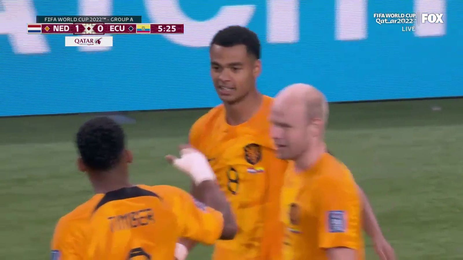 Cody Gakpo of the Dutch scores a goal against Ecuador in the 6'