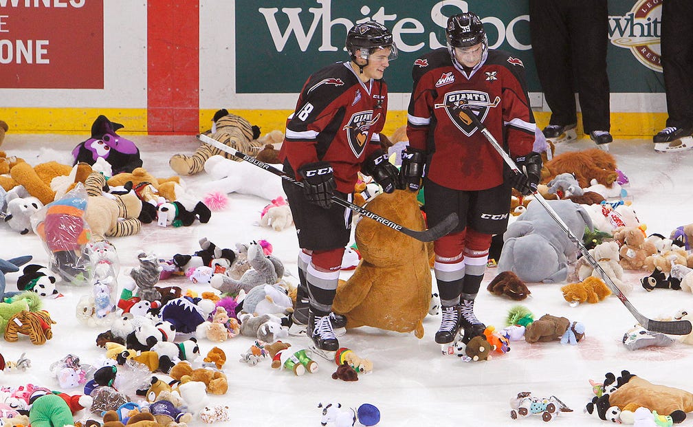 teddy bears, fans of AHL club toss undergarments to ice (VIDEO