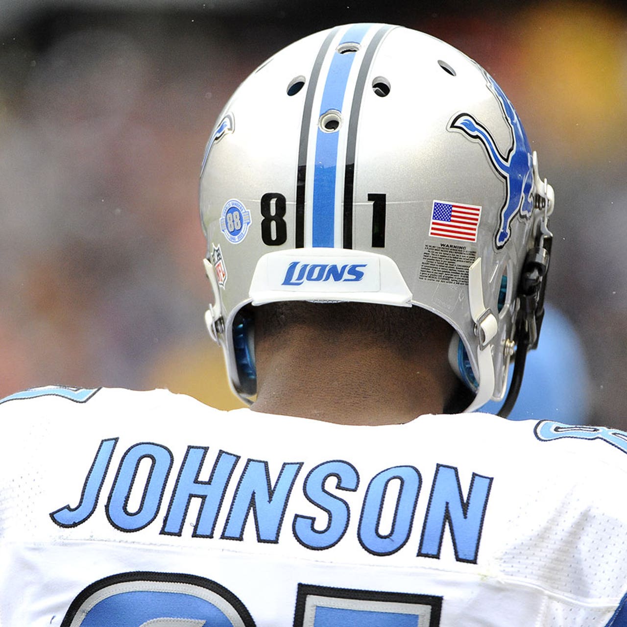 Detroit Lions: Calvin Johnson wanted to be drafted by hometown Falcons