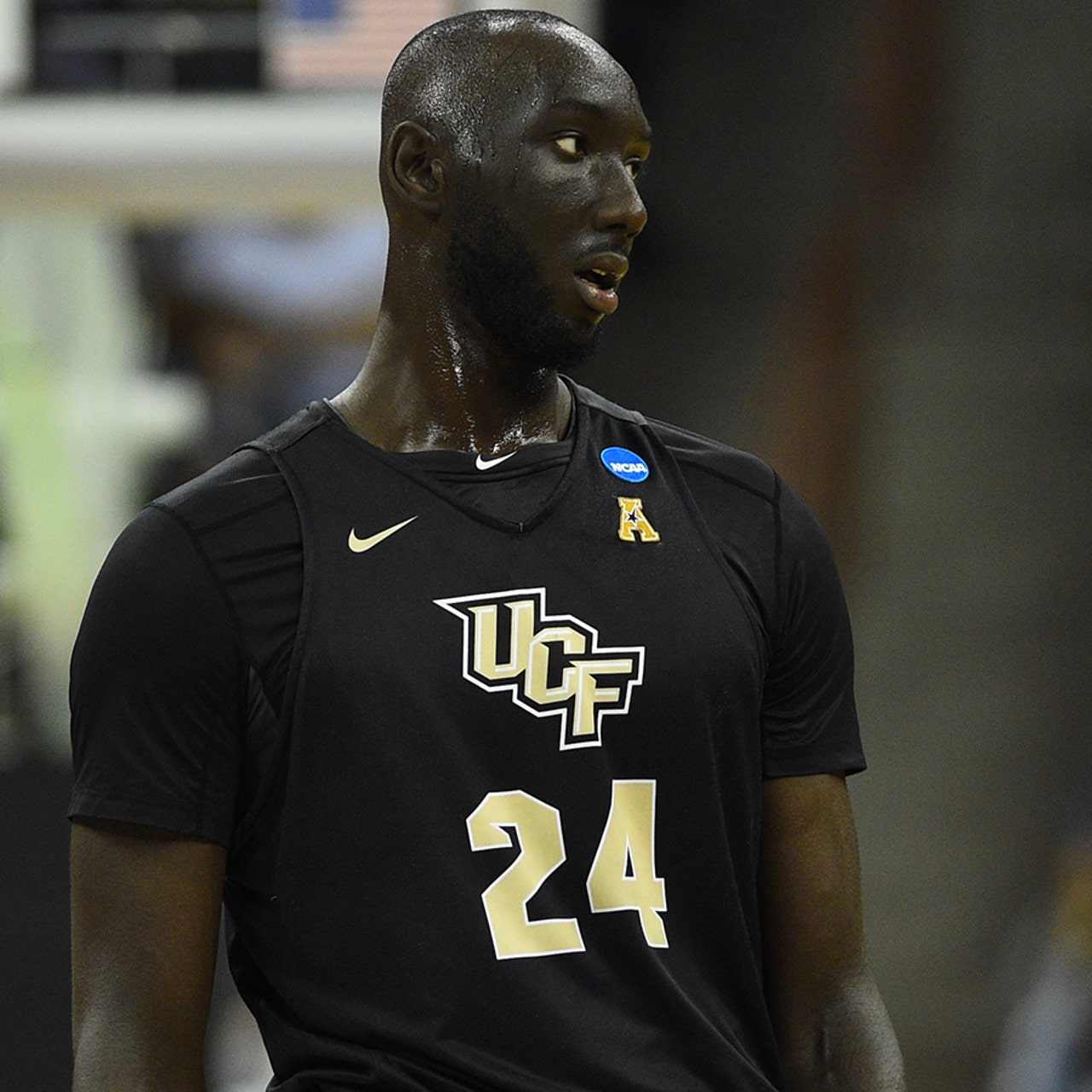 Tacko fall jersey ucf cheap