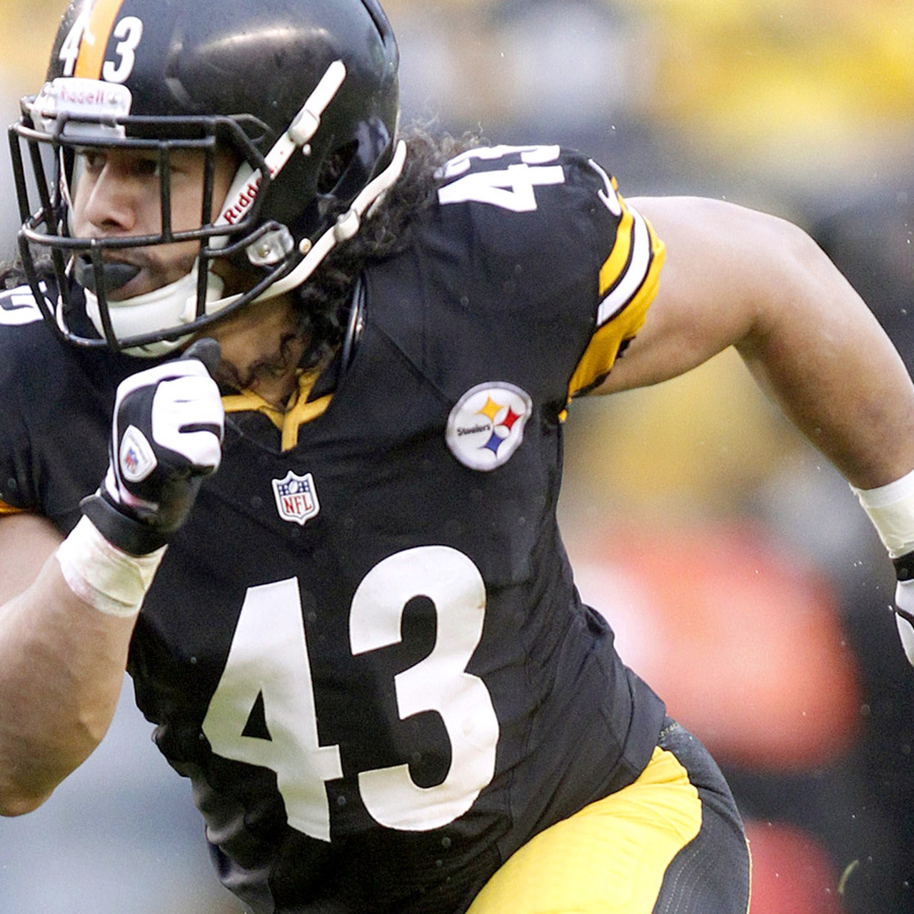 Steelers sign Polamalu, Miller while getting cap relief
