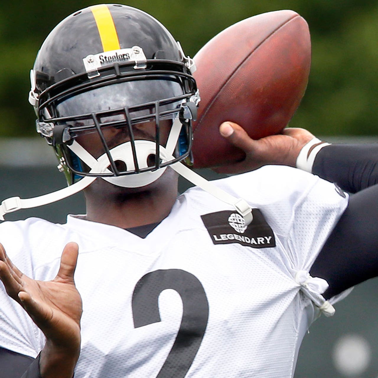 Report: Vick's contract with Steelers has no guarantees, no